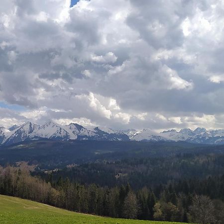 Vila Familiowka Mizerna Exteriér fotografie