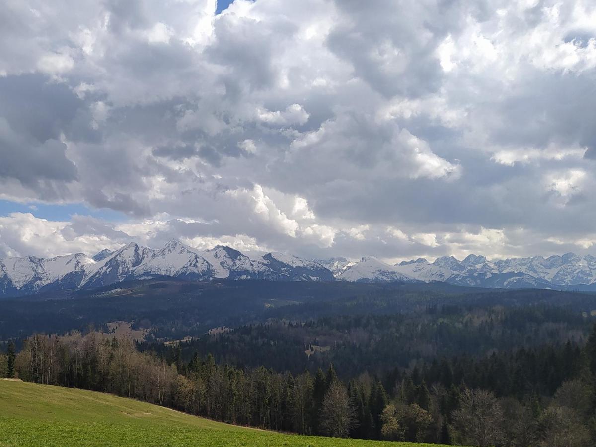Vila Familiowka Mizerna Exteriér fotografie