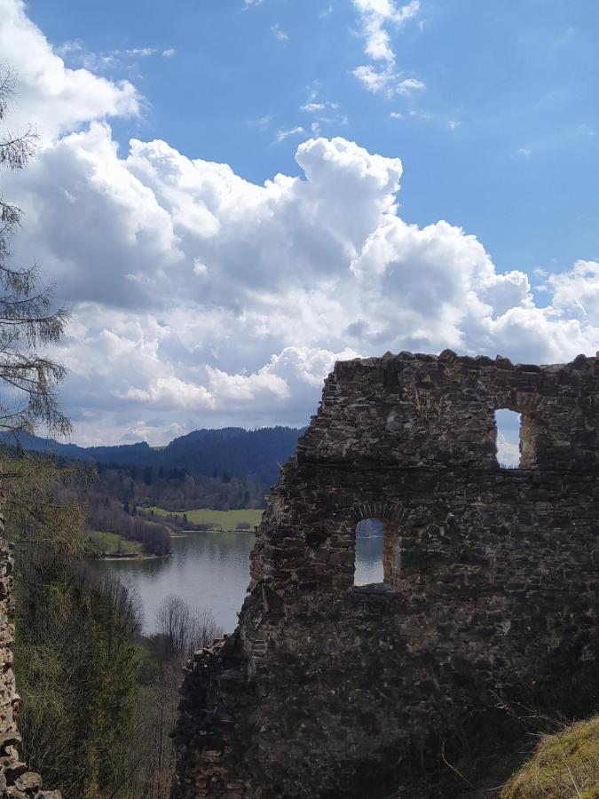 Vila Familiowka Mizerna Exteriér fotografie