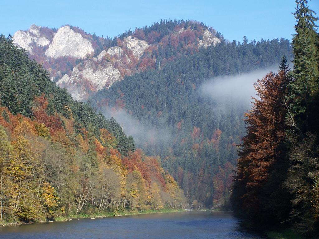 Vila Familiowka Mizerna Exteriér fotografie