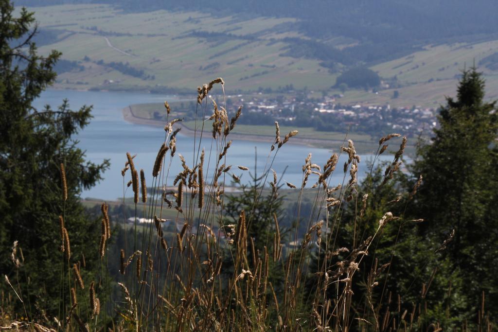 Vila Familiowka Mizerna Exteriér fotografie