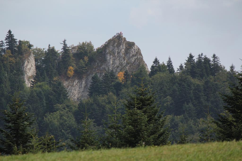 Vila Familiowka Mizerna Exteriér fotografie