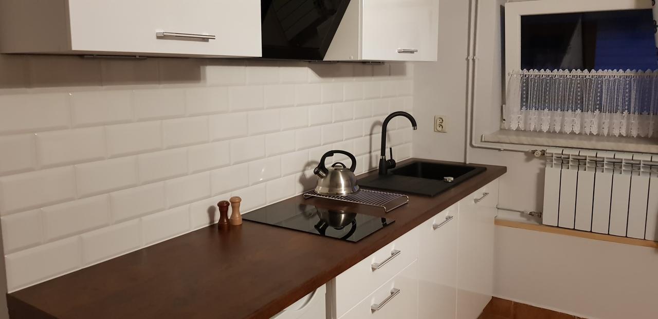 Vila Familiowka Mizerna Exteriér fotografie